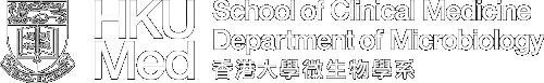 The University of Hong Kong